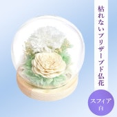 SOUP�����������饹�ɡ��ॢ��󥸥��ȡ��Ϥ�ʤ��ץꥶ���֥ɥե������ե���/��