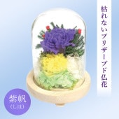 SOUP�����������饹�ɡ��ॢ��󥸥��ȡ��Ϥ�ʤ��ץꥶ���֥ɥե��������ʤ��ۡ�