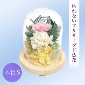 SOUP�����������饹�ɡ��ॢ��󥸥��ȡ��Ϥ�ʤ��ץꥶ���֥ɥե������ܣ�