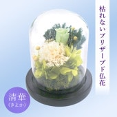 SOUP�����������饹�ɡ��ॢ��󥸥��ȡ��Ϥ�ʤ��ץꥶ���֥ɥե������ڡʤ��褫��