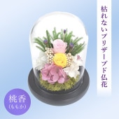 SOUP�����������饹�ɡ��ॢ��󥸥��ȡ��Ϥ�ʤ��ץꥶ���֥ɥե�������ʤ�⤫��