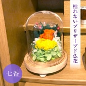 SOUP�����������饹�ɡ��ॢ��󥸥��ȡ��Ϥ�ʤ��ץꥶ���֥ɥե�������ʤʤʤ���