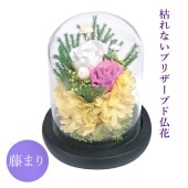 SOUP�����������饹�ɡ��ॢ��󥸥��ȡ��Ϥ�ʤ��ץꥶ���֥ɥե���ƣ�ޤ�ʤդ��ޤ��