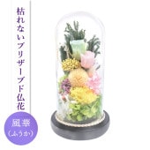 SOUP�����������饹�ɡ��ॢ��󥸥��ȡ��Ϥ�ʤ��ץꥶ���֥ɥե������ڡʤդ�����