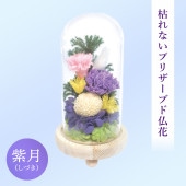 SOUP�����������饹�ɡ��ॢ��󥸥��ȡ��Ϥ�ʤ��ץꥶ���֥ɥե������ʤ��Ť���