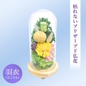 SOUP�����������饹�ɡ��ॢ��󥸥��ȡ��Ϥ�ʤ��ץꥶ���֥ɥե�������ʤϤ������