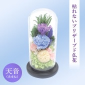 SOUP�����������饹�ɡ��ॢ��󥸥��ȡ��Ϥ�ʤ��ץꥶ���֥ɥե���ŷ���ʤ��ޤ͡�