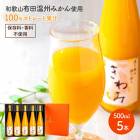 Ķ 渵 2024 ߤߤ󥸥塼 500ml 5ꥮեȥå