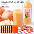 渵 2025  60% ɥ 200ml5ꥮեȥå 渵