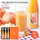 渵 2025  60% ɥ 500ml3ꥮեȥå 渵