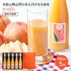 渵 2025  60% ɥ 500ml5ꥮեȥå 渵