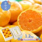 ��� �� ���渵 2026/7/10��8/10���Ϥ� �� �ߤϤޤä� �����ߤ��� 1.2kg CG068 ���渵