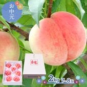 �� ���渵 2026/7/25��8/10���Ϥ��� Ĺ�� �� �� 7��8�̡� 2kg �� CG073 ���渵