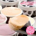 �ޤȤ��㤤�� ������ 2025 �������Ҿ쥢���� 5��߳�3�� ��15��