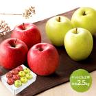 2025/12/112/26Ϥ   2025 դ     ͤ碌 2.5kg SN6003-010015