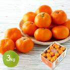 2025/12/112/15Ϥ   2025 JA ߤ 3kg SN6003-010033