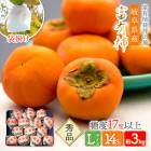 ͽ 2025ǯ12ܡ12ܤϤ 츩 崰 ޳ݤͭ L 3kg SFFF1L14