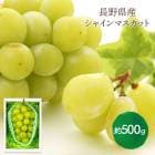 2025/12/112/20Ϥ   2025 Ĺ 㥤ޥå ¢  500g SN6003-010046