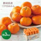 2025/12/112/15Ϥ   2025 Ų  ߤ 3kg SN6003-010060