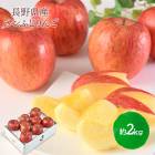 2025/12/126Ϥ   2025 Ĺ դ   2kg 6  8 SN6003-010088