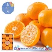 ��� �� ���渵 2026/6/25��8/10���Ϥ��۳��������ߤ��� ��1.8kg ( M������ 18�� ) SN6003-010021 ���渵