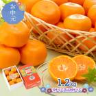 渵 2025  6/208/10Ϥ  ߤ 1.2Kg 渵