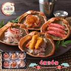   2025 11/1012/27Ϥ ˤߤꥻå 6 ADRTA-124