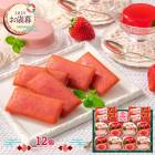 �ޤȤ��㤤�� ������ 2025 ��2025/11/10��12/27���Ϥ��� �̼���λפ��� ( 1Ȣ ) ADKOW-33