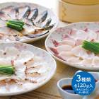 �Х�󥿥��� 2026 ��ʬ �� ˭�� 嫲� �� �彣 ���� ������ ���å� SK2702