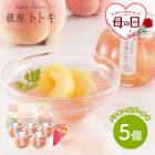 �� ����� 5/10 ���Ϥ��� ��� �ֶ�� �ȥȥ� �ƽ��� �������� ���� �� ���꡼ 5�� ��å������֡����� SK2659-M