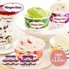 ����� 2026 �ϡ�������å� �������� �Х饨�ƥ� 5�� 12�� SK2729