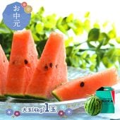 �� ���渵 2026/7/5��8/10���Ϥ��� ������� �̳�ƻ ������ ˱�� ������ ���� ��̡ʣ����� ����