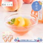 ��� �� ���渵 2026/6/17��8/8���Ϥ��� ��� �� ��� �ȥȥ� �ƽ� �� �������� ���� �� ���꡼ 5�� SK2808-T ���渵