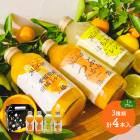 ��� ���渵 ����� 2026  ���Ӳ̱� ɲ��Michill4�ܥ��եȥ��å� 175ml 4�� NENP022