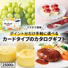 �ޤȤ��㤤�� ���渵 2026 �����������ե� �����ɥ����� TheFooD ���ꥫ LRPT25000 MemoriCA ���渵