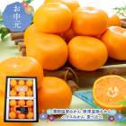 ��� �� ���渵 2026/7/10��8/10���Ϥ� �� �ϥ����ߤ��� ������� ���������ߤ��� ���Ų����ߤ��� �� S 15�� �ޤ��� M 12��  CG110 ���渵