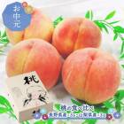 �� ���渵 2026/7/25��8/10���Ϥ��� �� �� ������� 2�� ��3�� ��1.4kg CG113 ���渵