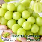   ��Ϸ���� 2026 �� 2026ǯ8��ܡ�10���ܤ��Ϥ� �� ���㥤��ޥ����å�  ( 1.7kg ) FW5111156