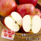 ��Ϸ���� 2026 �� 2026ǯ10����ܡ�10��ܤ��Ϥ� �� ���ʥΥ������� ( 1.5kg ) FW5111160