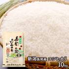   ��Ϸ���� 2026 �����ƹ� ���� Ĺ���� �����ҥ��� 10kg TB02