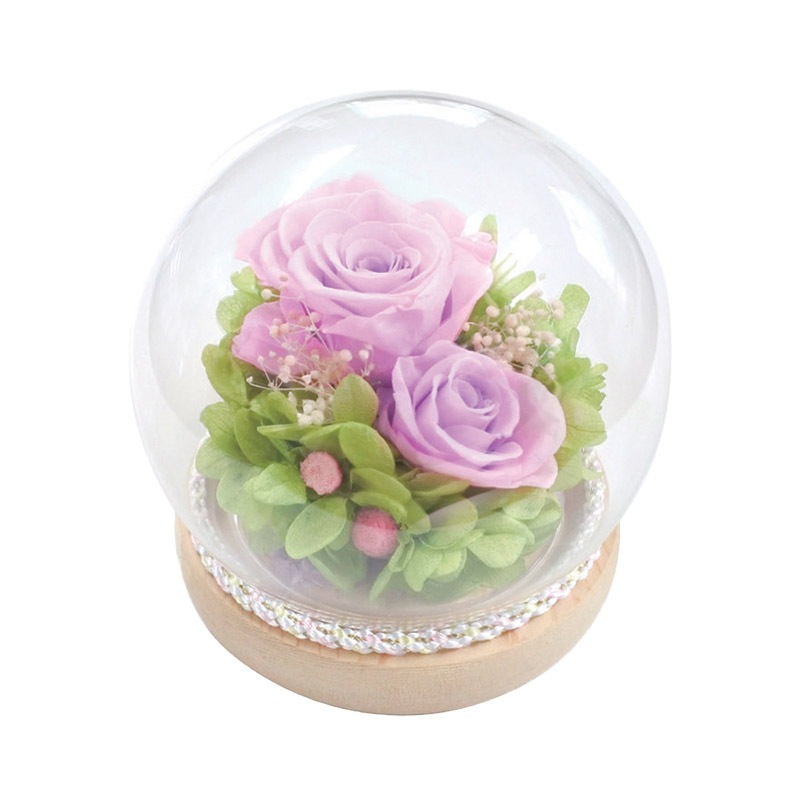   2025 SOUP饹ɡॢ󥸥ȡϤʤץꥶ֥ɥեͼʤ椦