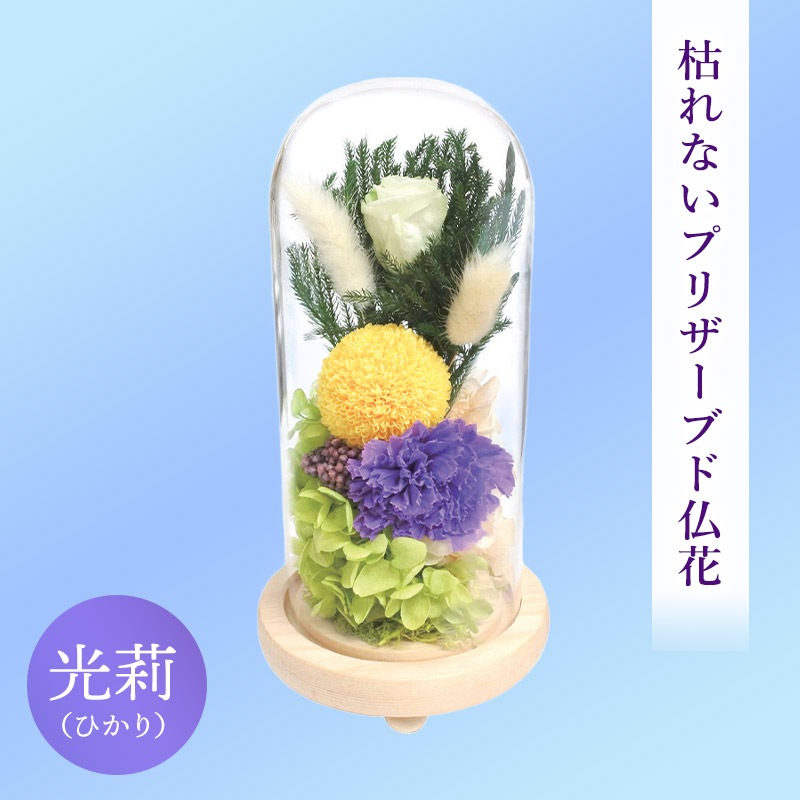 SOUP�����������饹�ɡ��ॢ��󥸥��ȡ��Ϥ�ʤ��ץꥶ���֥ɥե�����轡ʤҤ����