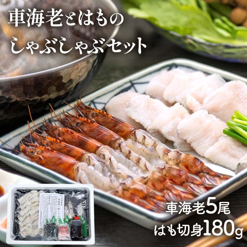 ���渵 2026 ��ʬ �� ˭�� 嫲� �� ��ʬ�� �ֳ�Ϸ �� �Ϥ� �� ����֤���� ���å� SK2714 ���渵