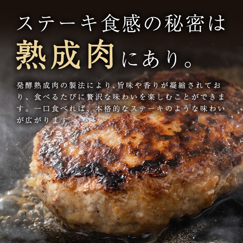   2025  ȯ  ȤǺΤߤǺä λݤ򴶤 ϥС 6 å