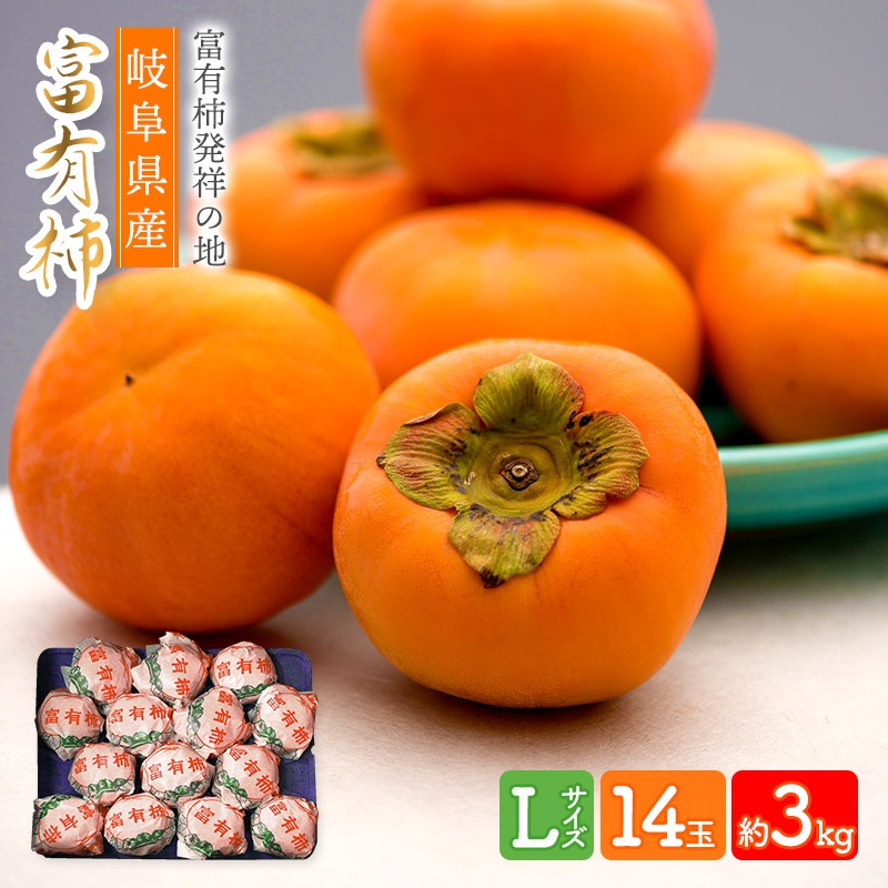 ͽ 2025ǯ11ܡ12ܤϤ 츩 ͭ L 14 3kg