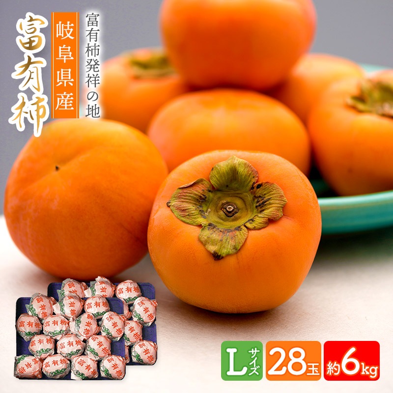 ͽ 2025ǯ11ܡ12ܤϤ 츩 ͭ L 28 6kg