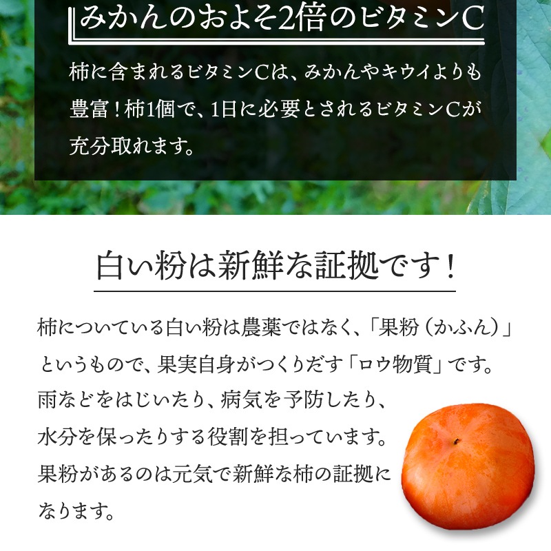 ͽ 2025ǯ11ܡ12ܤϤ 츩 ͭ L 28 6kg