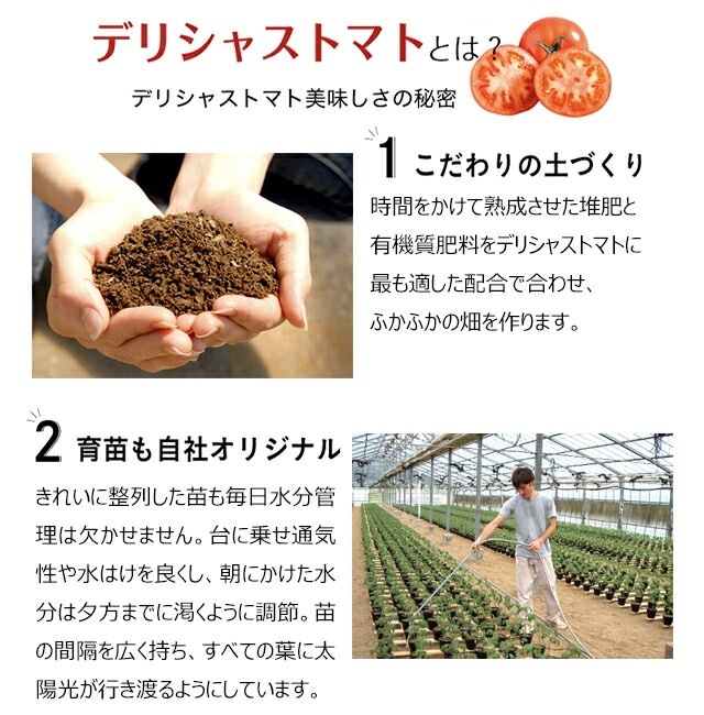 ���ॻ�쥯�ȥ��å�