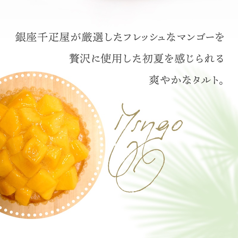 渵  2025 ɥ ¥(ޥ󥴡) ľ15cm 渵