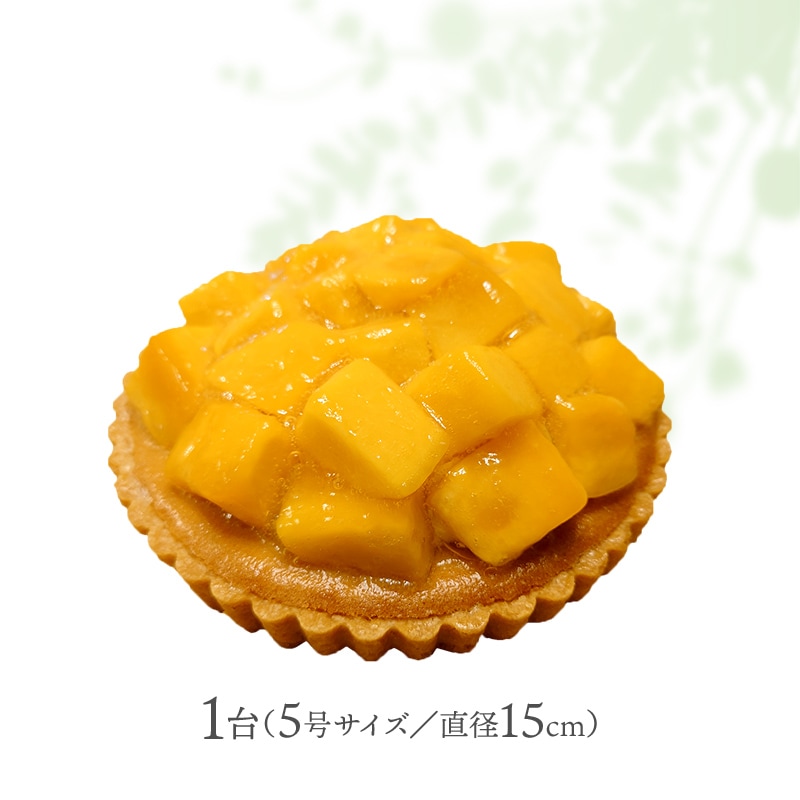 渵  2025 ɥ ¥(ޥ󥴡) ľ15cm 渵